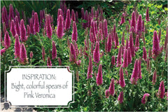 Pink Veronica Clip Art Pack Clipart Bundle - CraftNest - Digital Crafting and Art