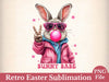 Easter Bunny Easter Clipart Bundle 22