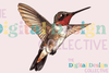 Hummingbird Clipart Bundle