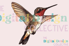 Vibrant Hummingbird Clipart Bundle - CraftNest - Digital Crafting and Art