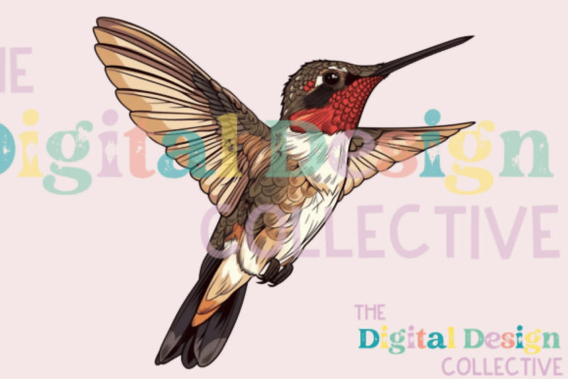 Vibrant Hummingbird Clipart Bundle - CraftNest - Digital Crafting and Art