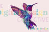 Hummingbird Clipart Bundle