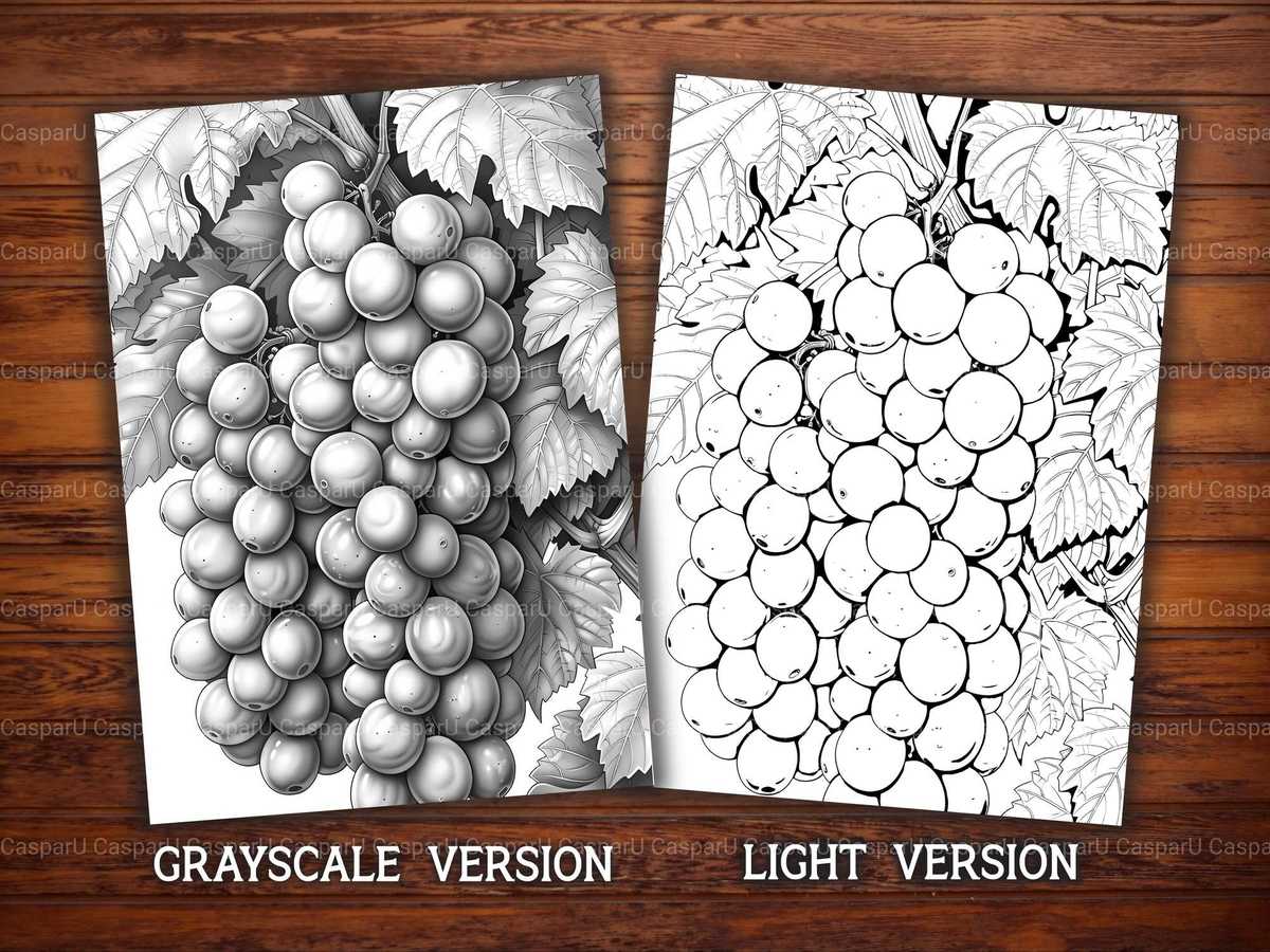 Vineyard Grapes Coloring Books - CraftNest - Digital Crafting and Art