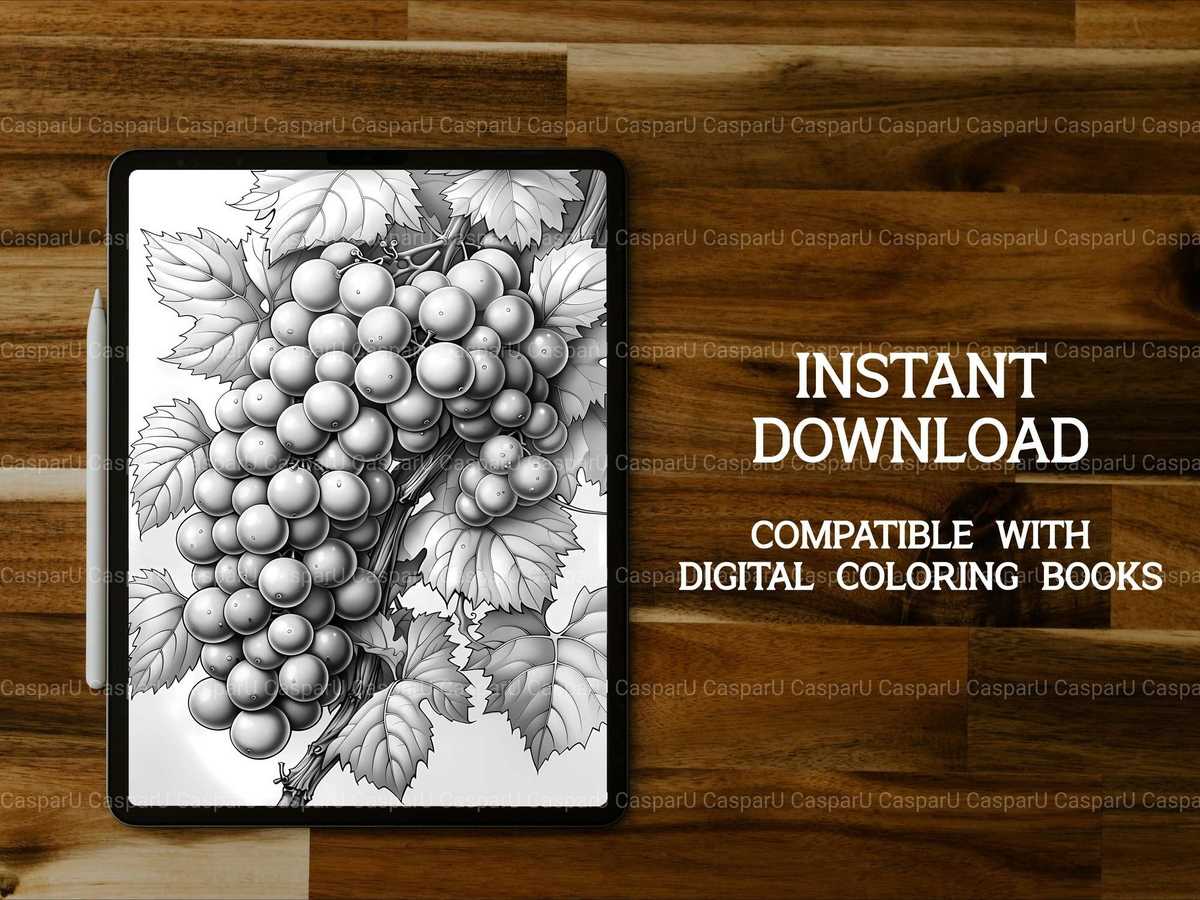 Vineyard Grapes Coloring Books - CraftNest - Digital Crafting and Art