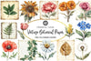 Vintage Botanical Paper Clipart Bundle