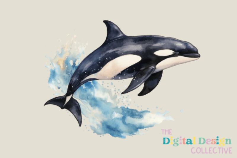 Vintage Orca Clipart Bundle 1973 - CraftNest - Digital Crafting and Art
