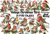 Vintage Christmas Bird Clipart Bundle