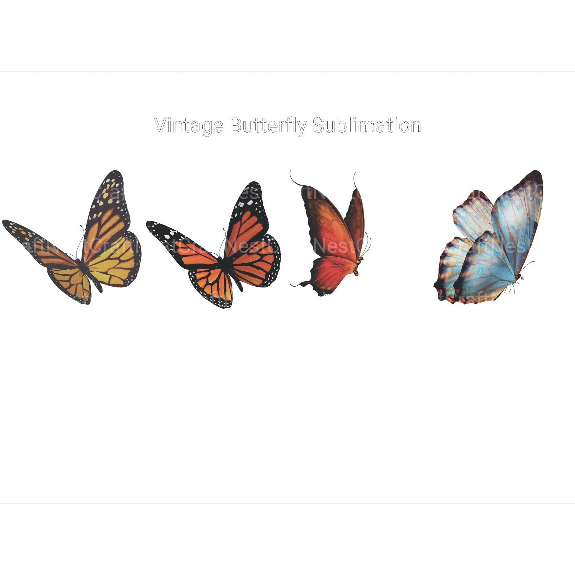 Vintage Butterfly Clipart - CraftNest - Digital Crafting and Art