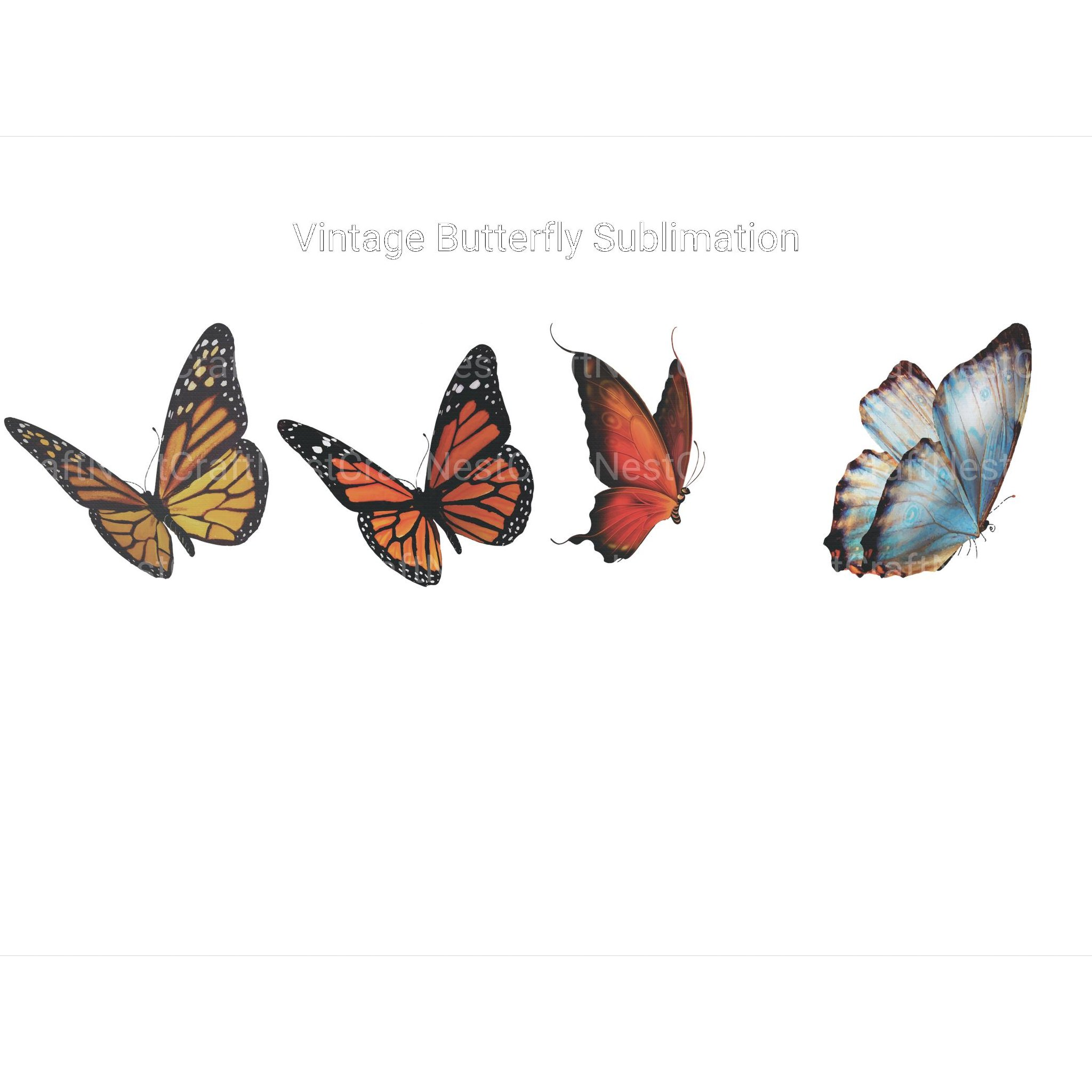 Vintage Butterfly Clipart - CraftNest - Digital Crafting and Art