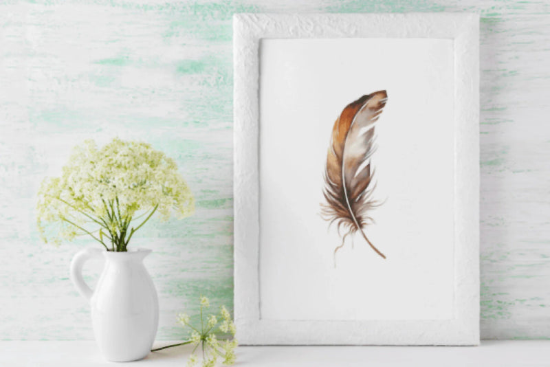 Brown Feather Clipart Bundle 2022 - CraftNest - Digital Crafting and Art