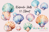 Colorful Seashells Clipart Bundle