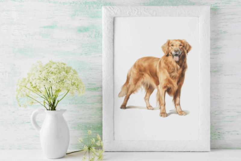 Golden Retriever Clipart Bundle - CraftNest - Digital Crafting and Art