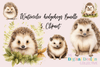 Adorable Hedgehog Clipart Bundle