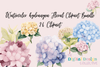 Hydrangea Floral Clipart Bundle