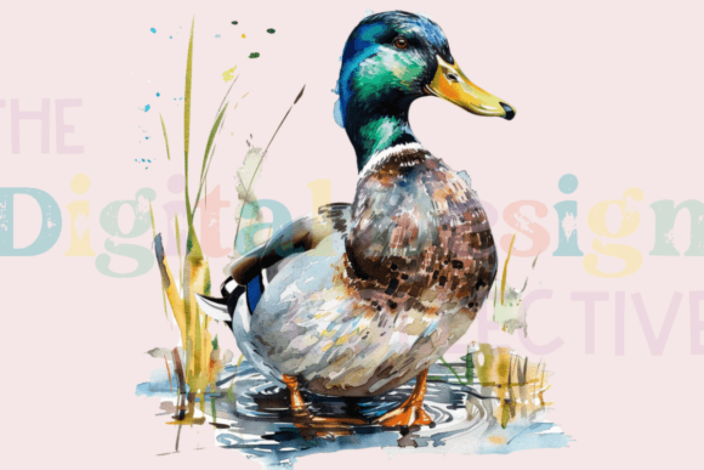 Ultimate Mallard Duck Hunting Guide Clipart Bundle