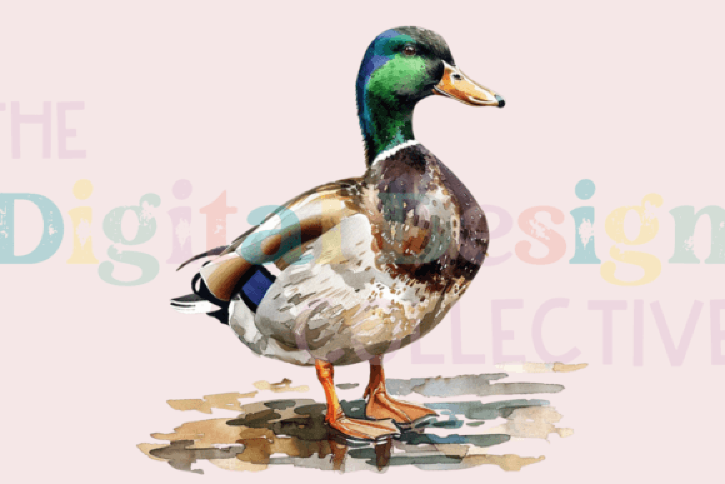 Ultimate Mallard Duck Hunting Clipart Bundle