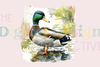 Ultimate Mallard Duck Hunting Clipart Bundle