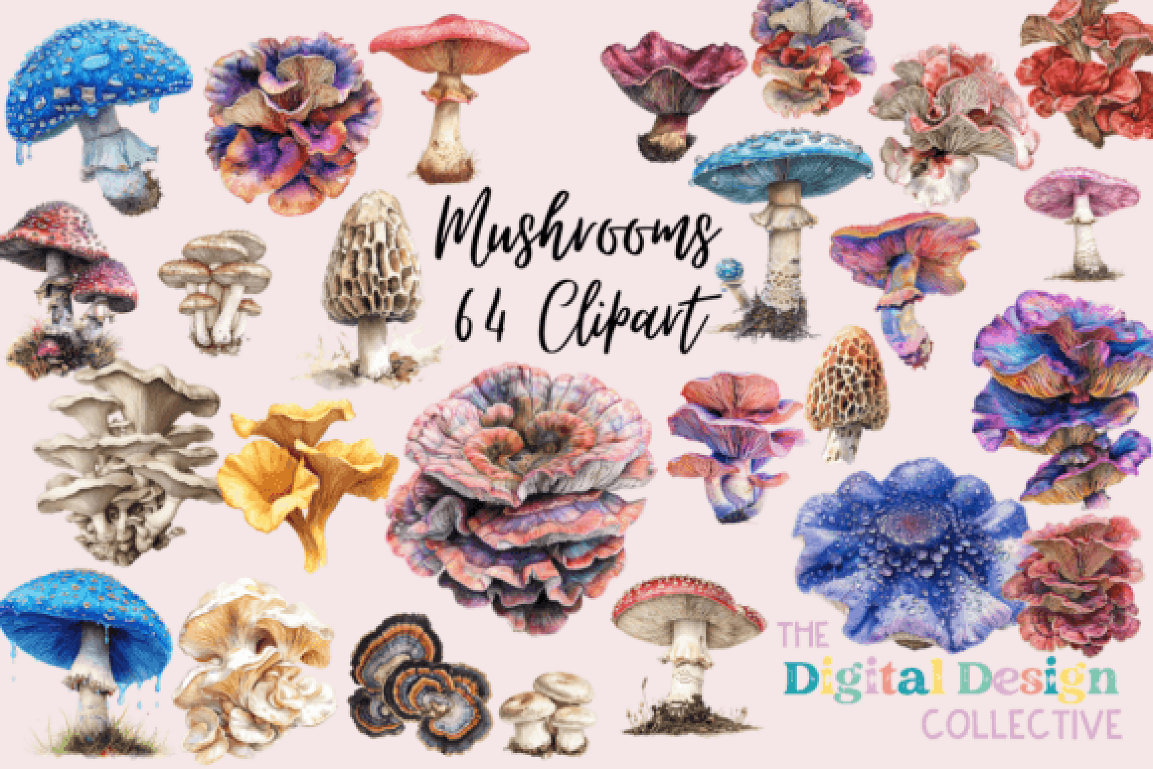 Mushroom Clipart Bundle