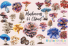 Mushroom Clipart Bundle