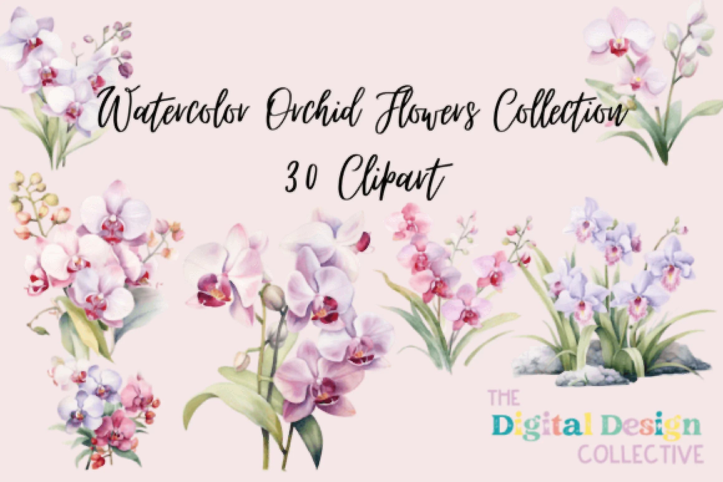 Stunning Orchid Flowers Clipart Bundle - CraftNest - Digital Crafting and Art