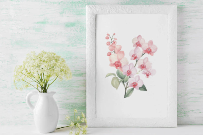 Stunning Orchid Flowers Clipart Bundle - CraftNest - Digital Crafting and Art