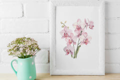 Stunning Orchid Flowers Clipart Bundle - CraftNest - Digital Crafting and Art
