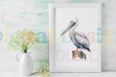 Pelican and Seagull Clipart Bundle - CraftNest - Digital Crafting and Art