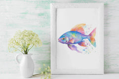 Vibrant Rainbow Fish Illustration Clipart Bundle - CraftNest - Digital Crafting and Art