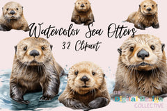 Sea Otter Clipart Bundle - CraftNest - Digital Crafting and Art