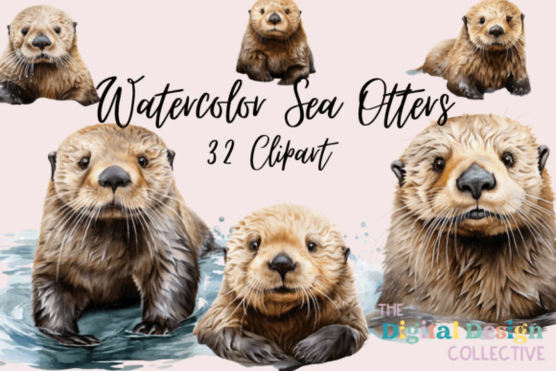 Sea Otter Clipart Bundle - CraftNest - Digital Crafting and Art