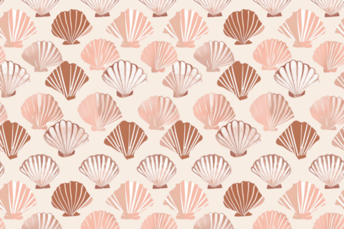 Sea Shells Linear Patterns Seamless Seashell Patterns Collection