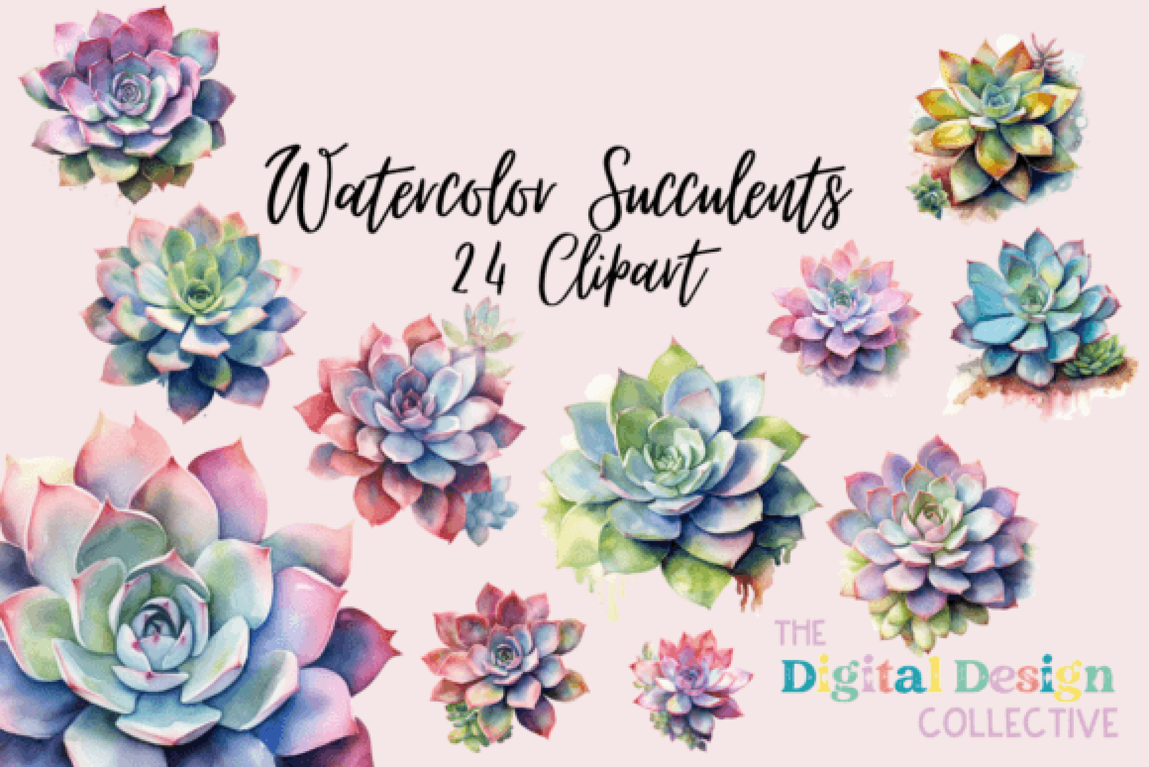 Vibrant Succulent Plants Clipart Bundle