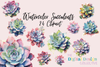 Vibrant Succulent Plants Clipart Bundle