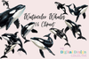 Stunning Whale Clipart Bundle