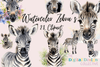 Zebra Clipart Bundle