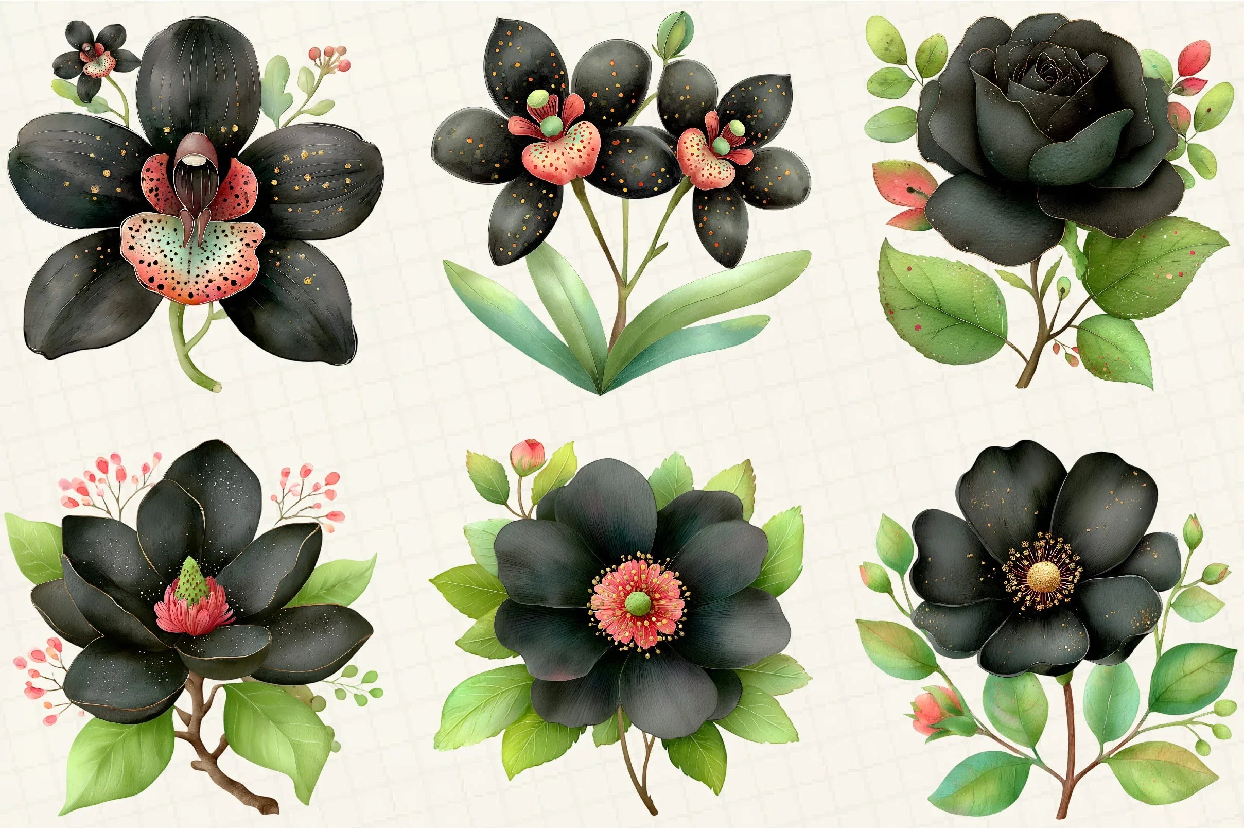 Flowers Clipart Bundle - CraftNest - Digital Crafting and Art