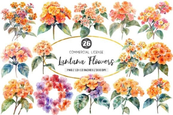 Lantana Flower Clipart Bundle 4 - CraftNest - Digital Crafting and Art