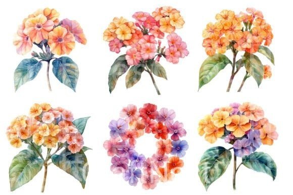 Lantana Flower Clipart Bundle 4 - CraftNest - Digital Crafting and Art