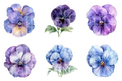 Pansy Flowers Clipart Bundle 24 - CraftNest - Digital Crafting and Art