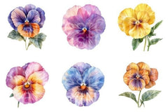 Pansy Flowers Clipart Bundle 24 - CraftNest - Digital Crafting and Art