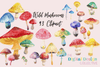 Wild Mushrooms Clipart Bundle