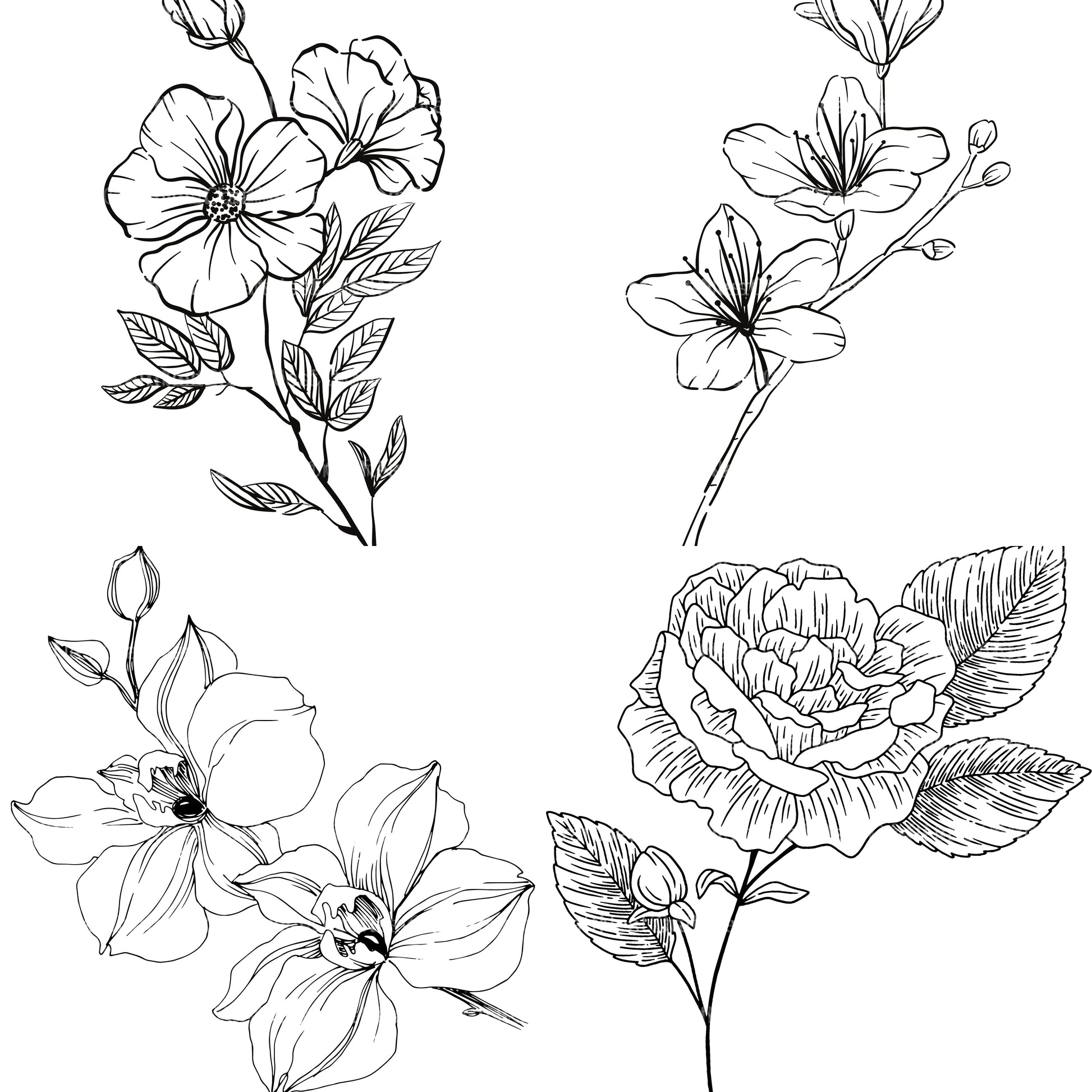 Floral Coloring Book - CraftNest - Digital Crafting and Art