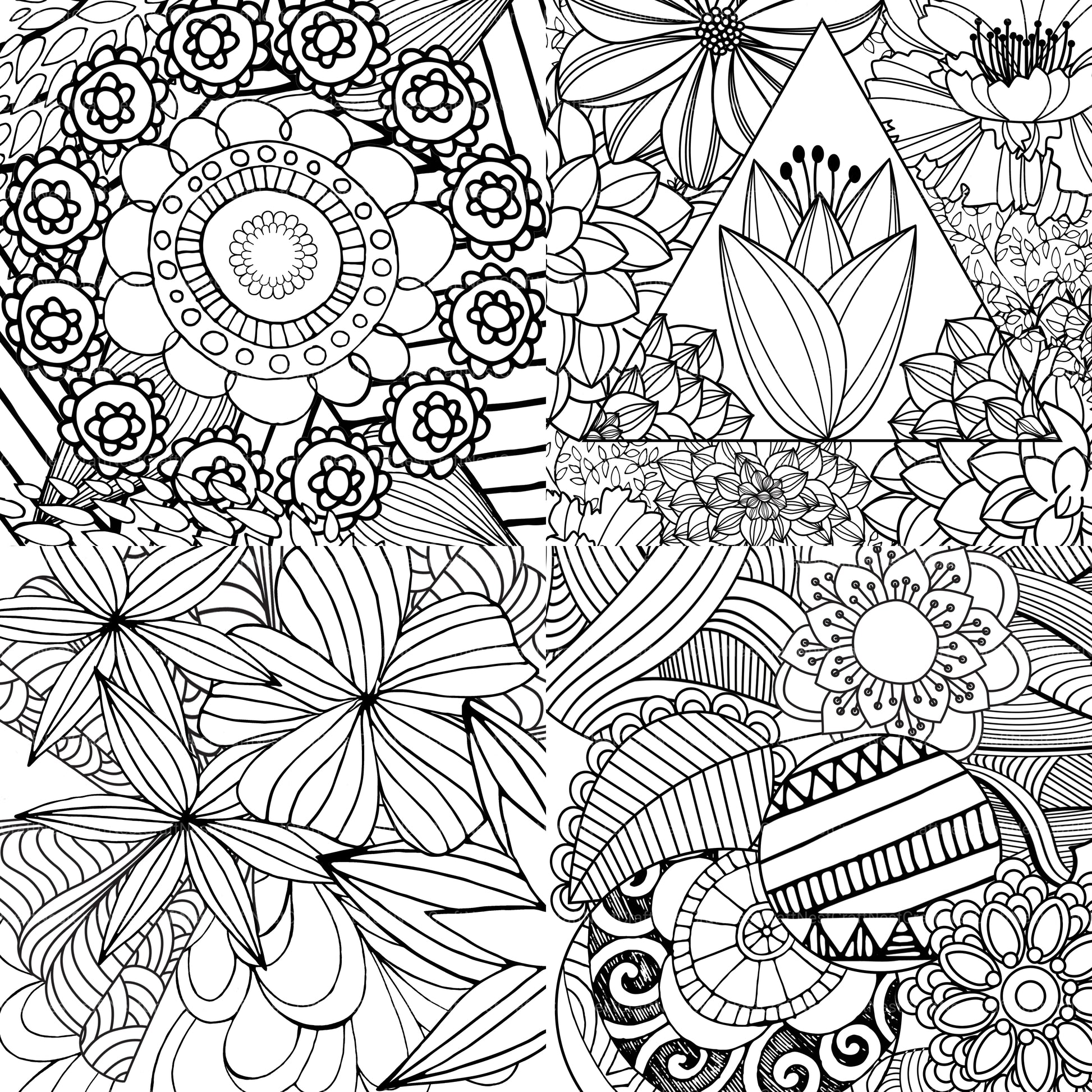 Colorist Heaven Flower Coloring Book - CraftNest - Digital Crafting and Art