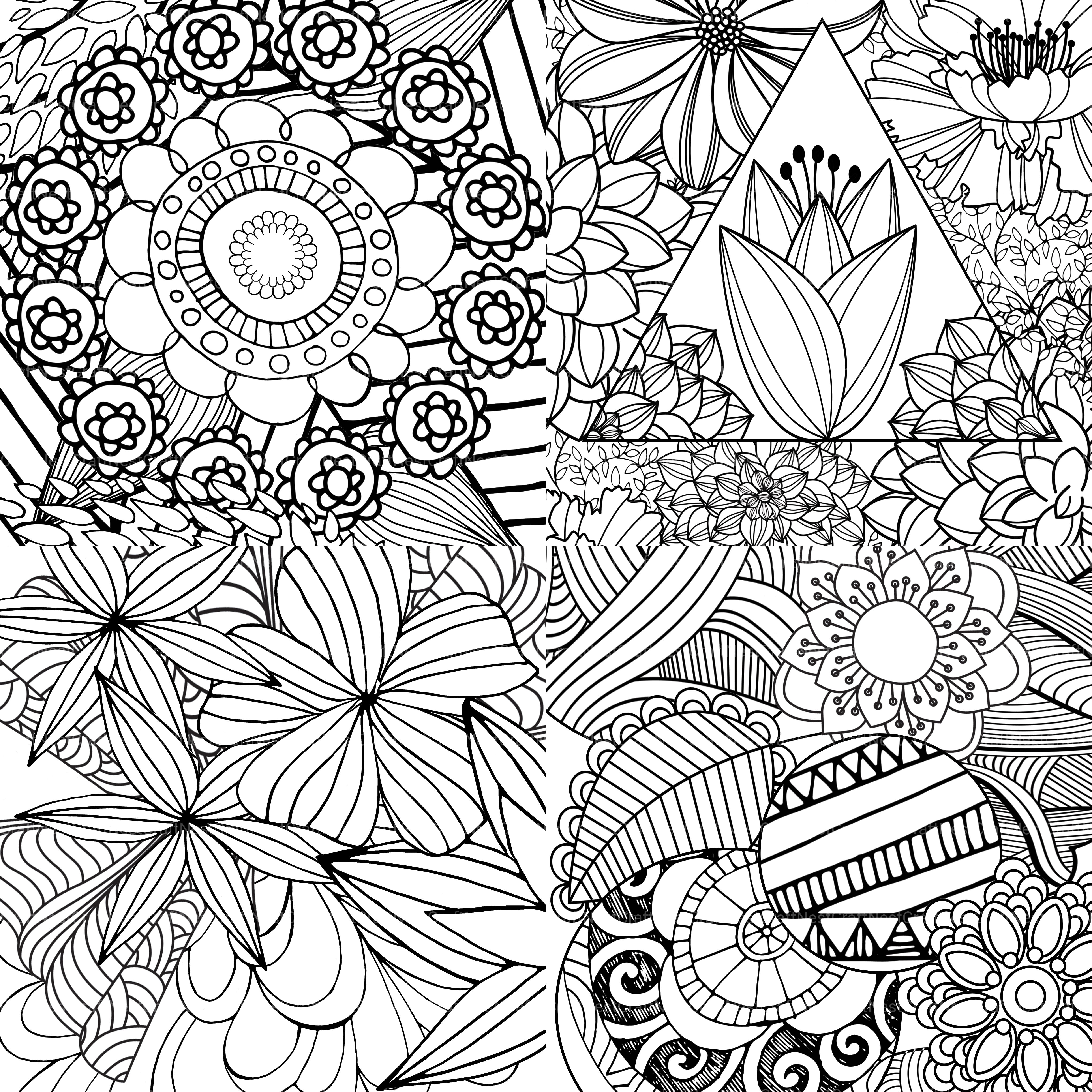 Colorist Heaven Flower Coloring Book - CraftNest - Digital Crafting and Art