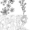 Floral Coloring Book