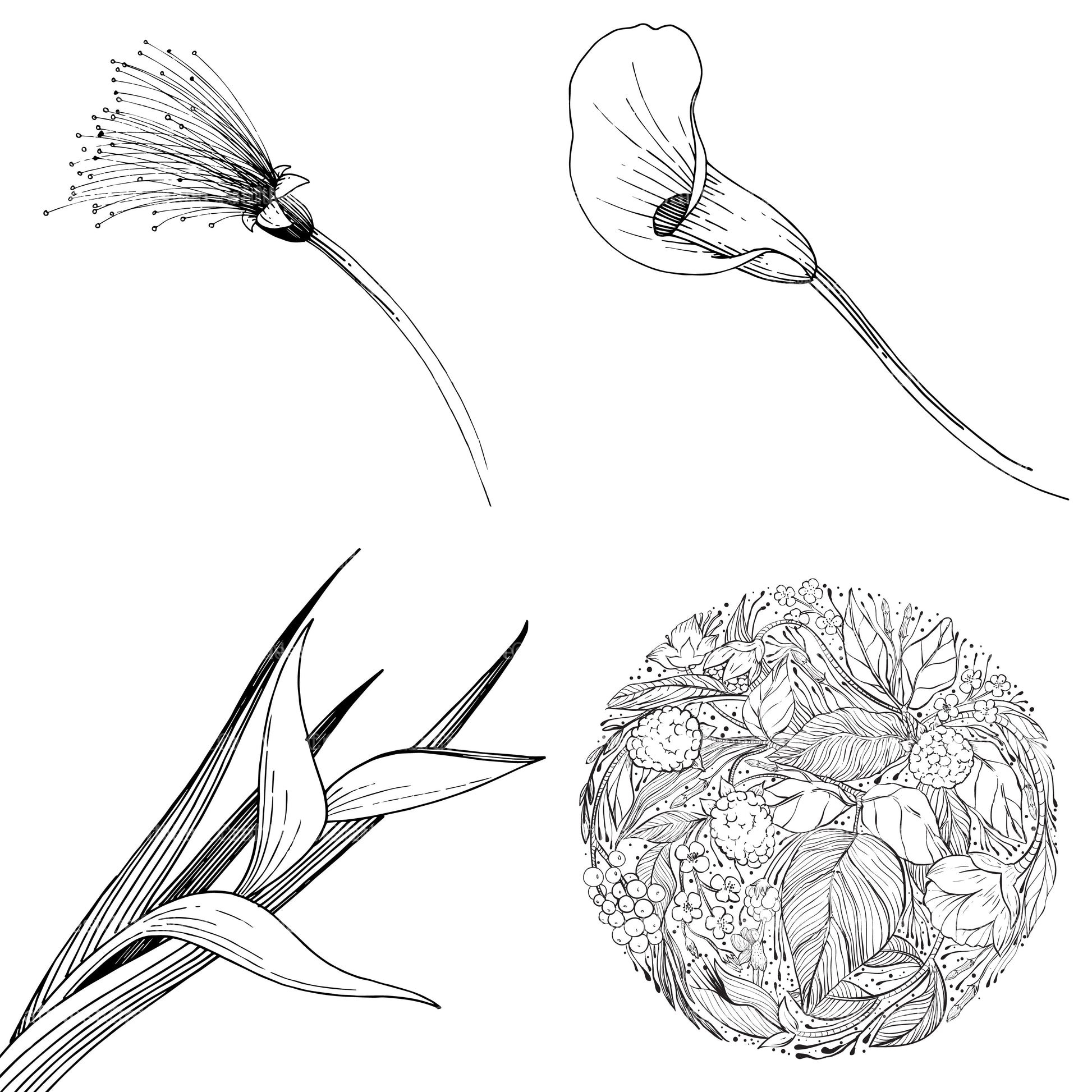 Floral Coloring Book - CraftNest - Digital Crafting and Art