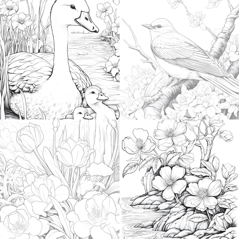 Springtime Garden Coloring Book - CraftNest - Digital Crafting and Art