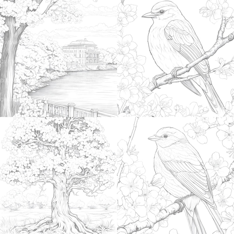 Springtime Garden Coloring Book - CraftNest - Digital Crafting and Art