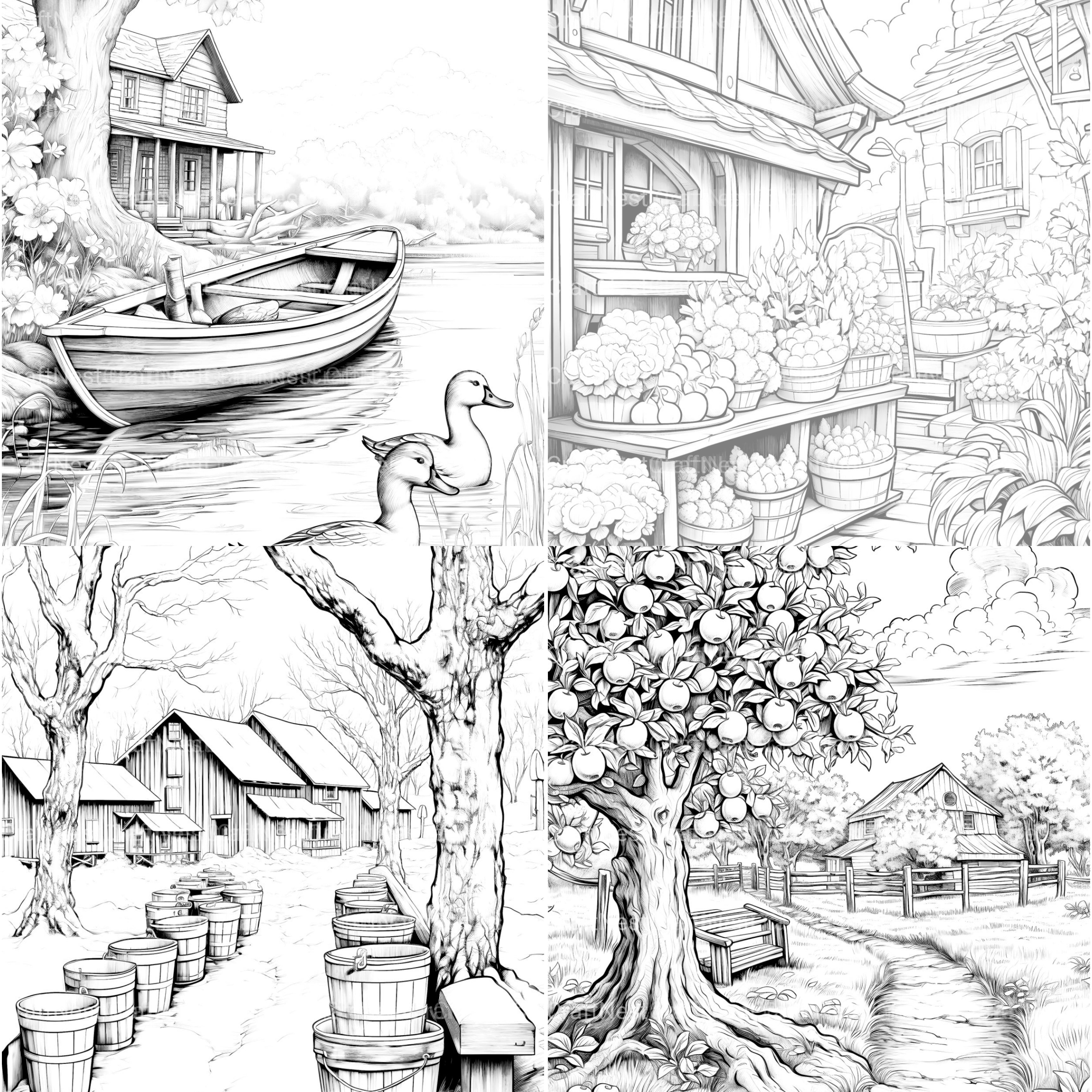 Country Life Coloring Book - CraftNest - Digital Crafting and Art