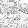 Farmers Garden Coloring Book 2